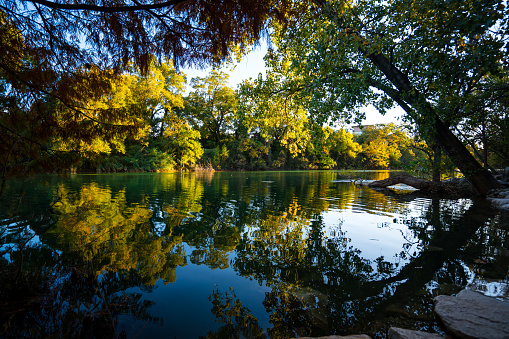 Mirrored reflections along Barton Springs Creek  in Austin Texas USA a perfect nature forest landscape along waters edge