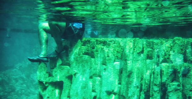istock Barracuda Lake, underwater shot,. 1132792053