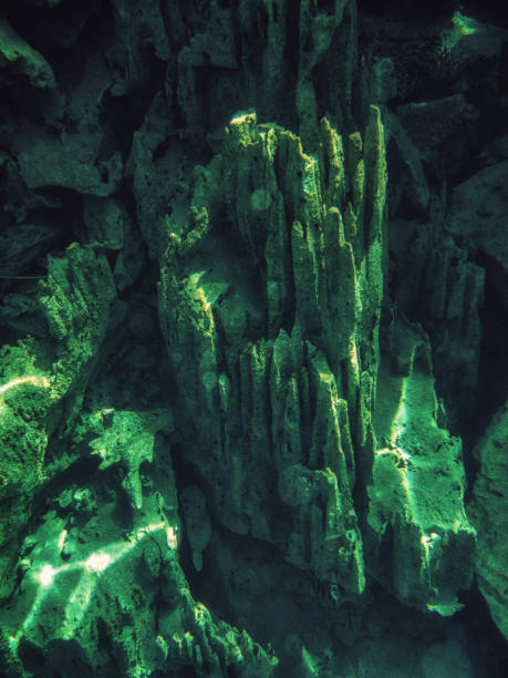 istock Barracuda Lake, underwater shot,. 1132792060