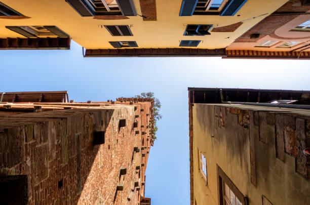 istock guinigi tower in Lucca, tuscany 1132794707