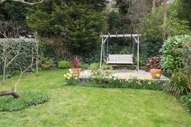전형적인 영국식 정원 - chair grass flower bed nobody 뉴스 사진 이미지