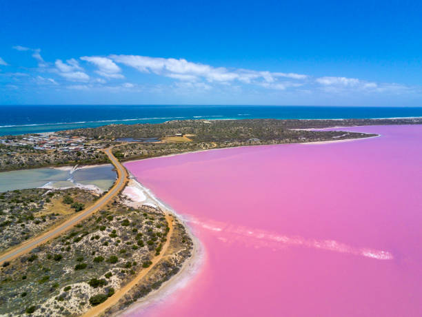 aerial image of the pink lake and gregory in western australia with indian ocean in the background - tempera painting fotos imagens e fotografias de stock