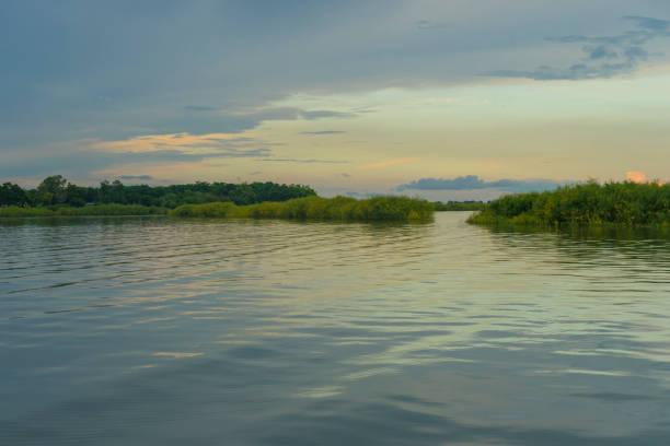 istock Sunset over Bueng Boraphet Swamp 1132795932