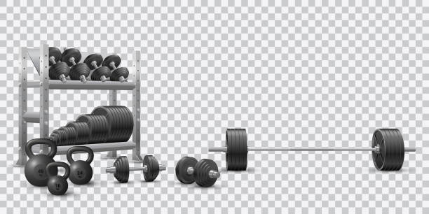 Beautiful realistic fitness vector of an  barbell, black loadable dumbbels, a set of kettlebells and a storage shelf full of black weight barbell plates on transparent background. Beautiful realistic fitness vector of an  barbell, black loadable dumbbels, a set of kettlebells and a storage shelf full of black weight barbell plates on transparent background. plate rack stock illustrations