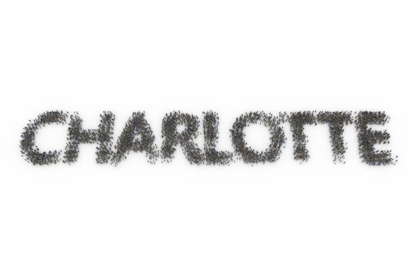 istock Large group of people standing together forming CHARLOTTE 1132797588