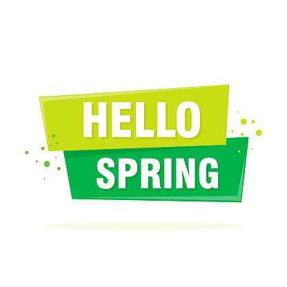 Hello Spring lettering design in green. Vector illustration