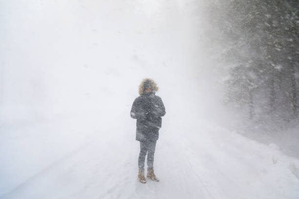 The traveler on the road during the blizzard