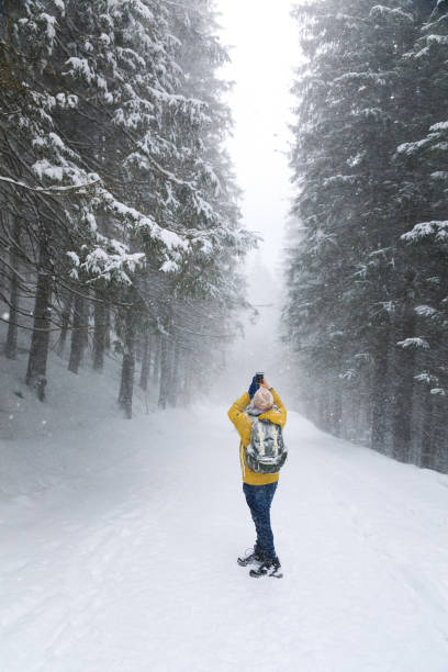 istock The traveler in winter forest 1132802986