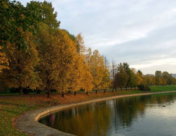 istock city park at autumn 1132803460