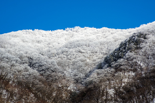 Mt.Akagi covered snow