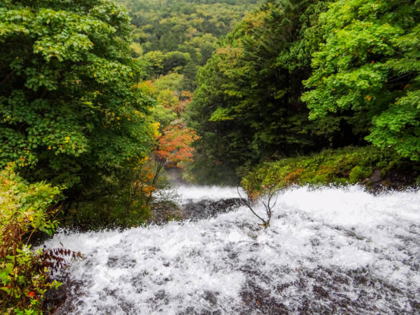 в районе озера yunoko в оку-никко - nikko asia japan natural landmark стоковые фото и изображения