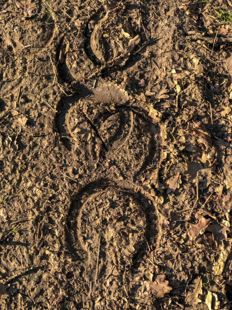impronte di zoccoli di cavallo nel fango - bridle path foto e immagini stock