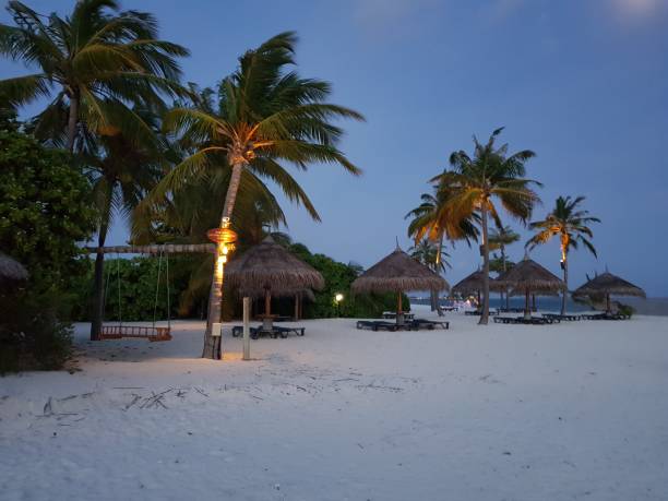 istock Beautiful tropical beach at dusk  The Maldives 1132809259