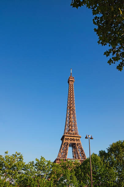 istock Beautiful Eiffel Tower with spring green leaves during sunset. Paris, France 1132809463