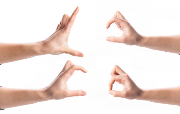A raised right hand on a white background gives an enthusiastic \