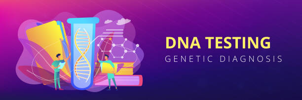 Genetic testing concept banner header. Scientists with folder and clipboard working with huge DNA in test tube. Genetic testing, DNA testing, genetic diagnosis concept on white background. Header or footer banner template with copy space. coil tubing stock illustrations