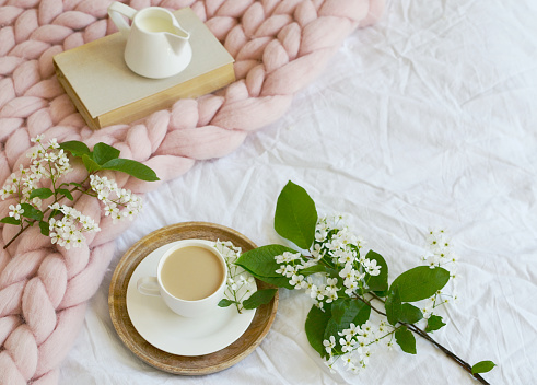 Cup with white coffee, milk, pink pastel giant blanket, bedroom, morning concept, bird cherry tree flowers, book reading