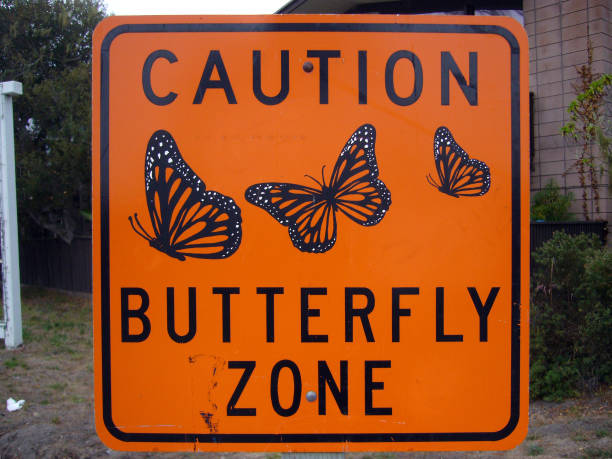 Caution Butterfly Zone sign in Pacific Groce, California informing about monarch butterfly pacific grove stock pictures, royalty-free photos & images