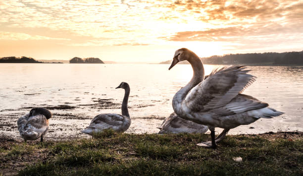 Ontario, Canada
