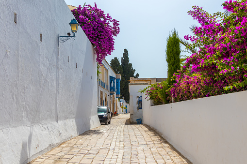 Old street with houses decorated with flowers in beautiful Sidi Bou Said town in Tunisia