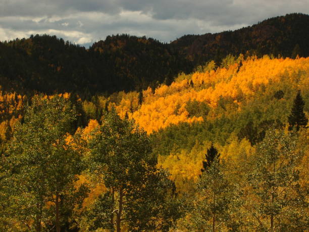 istock Gold in them hills 1132828200