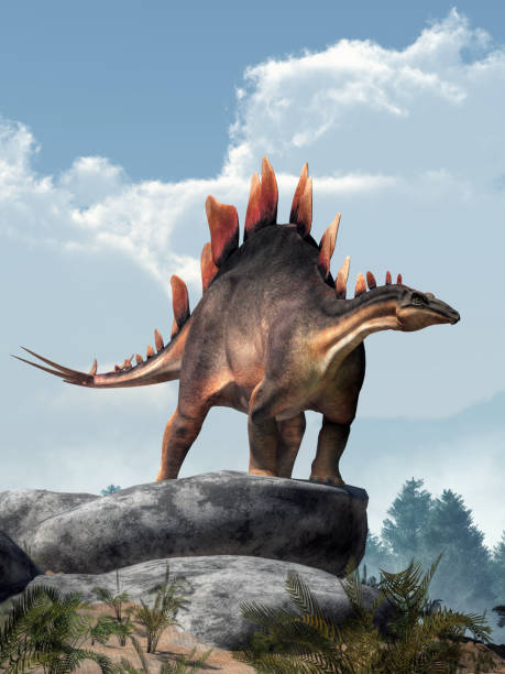 stegosaurus sulle rocce - stegosauro foto e immagini stock