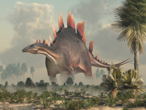 Stegosaurus, was a thyreophoran dinosaur. An herbivore, it is one of the best known dinosaurs of the Jurassic period. Here, a grey and brown one is standing in a Jurassic era wetland. 3D Rendering.