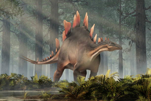 stegosaurus in una foresta - stegosauro foto e immagini stock