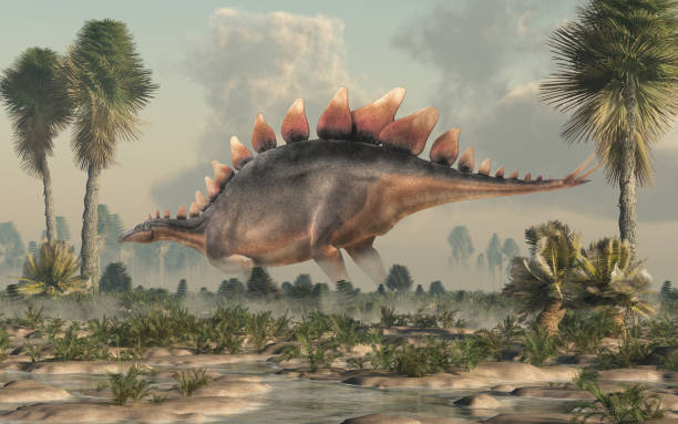 istock Stegosaurus in Profile in a Wetland 1132828234