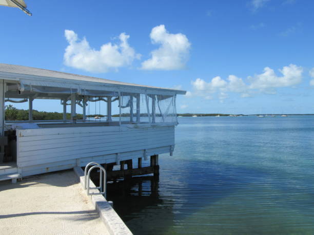 istock Florida Keys Coastal Habitat 1132830820