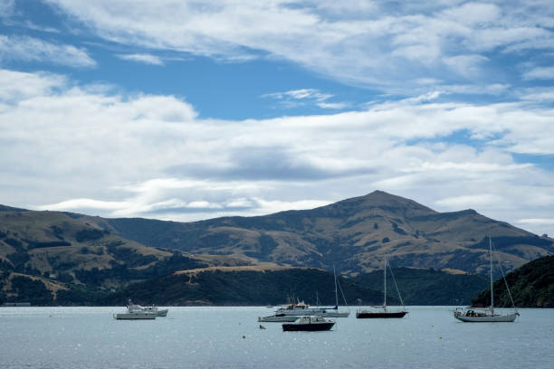 뱅크스 반도, 남 섬, 뉴질랜드 - akaroa banks peninsula bay sea 뉴스 사진 이미지