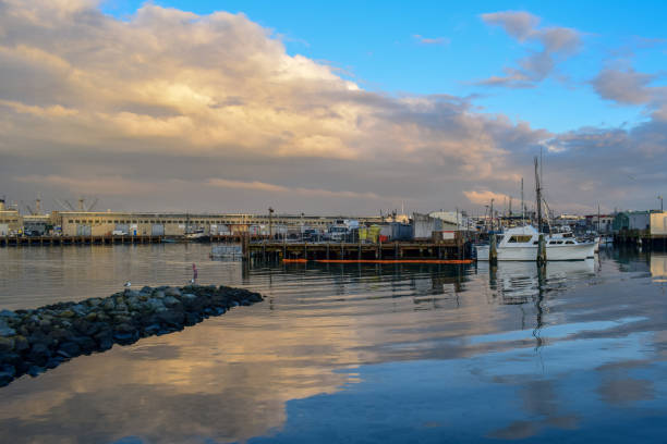 istock San Francisco Harbor - Fisherman's Wharf 1132845119