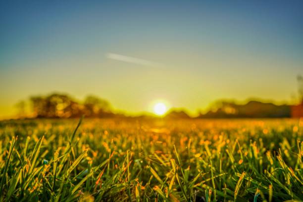 istock Wonderful landscape view in Lingen in Germany 1132847599