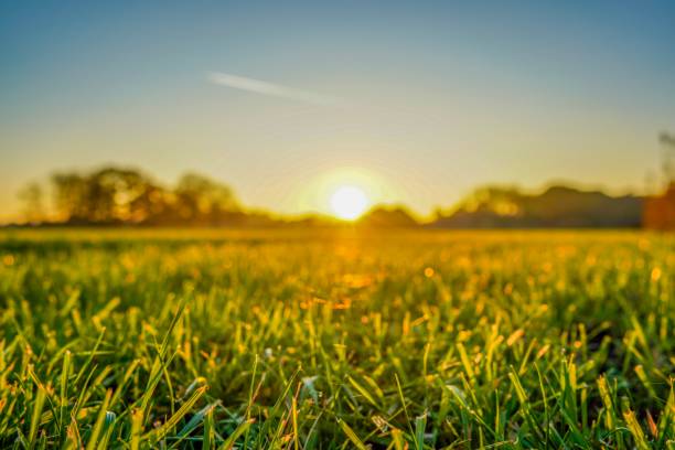 istock Wonderful landscape view in Lingen in Germany 1132847616