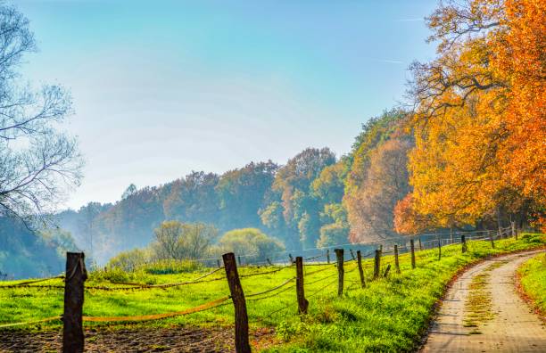istock Wonderful landscape view in Lingen in Germany 1132847811