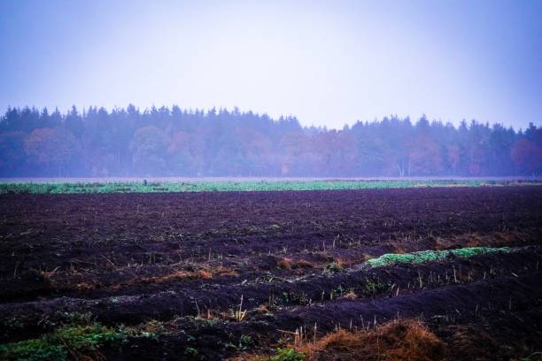 istock Wonderful landscape view in Lingen in Germany 1132847850