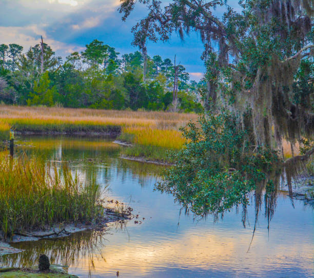 istock A Cove on Tolomato River, St Johns County, Florida, USA 1132848741