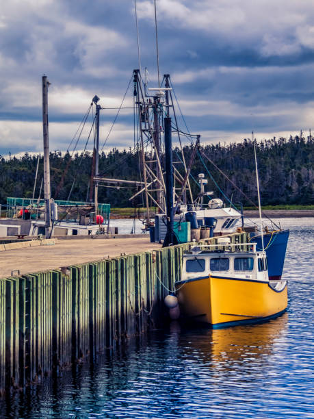 istock Fishing Boats Docked at Wharf 1132850457
