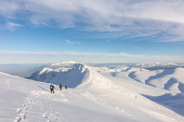istock Group of climbers are walking in the mountain peak 1132851798