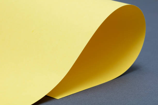 istock Yellow Curled paper on gray background. 1132856256