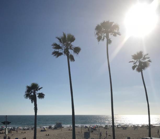 istock California Dreamin 1132858750