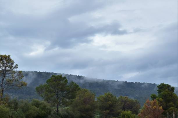 Clouds play with the landscape Photograph taken in the mountains and low clouds make small dobujos as if caressing the branches of the trees meio ambiente stock pictures, royalty-free photos & images