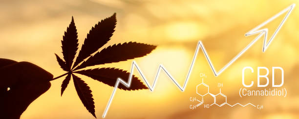 Cannabis industry profits in the stock market. Huge profits from marijuana. Cannabis of the formula CBD cannabidiol stock photo