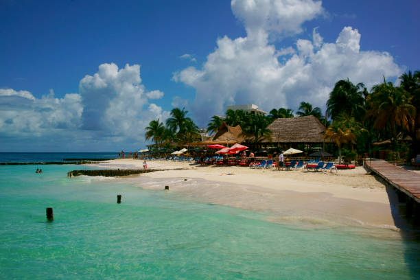       Tidal Pool On Rocky Caribbean Beach Mexico                         