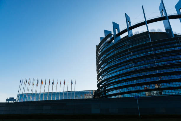вид сбоку на здание европарламента в страсбурге с флагами - national flag flag global communications sky стоковые фото и изображения