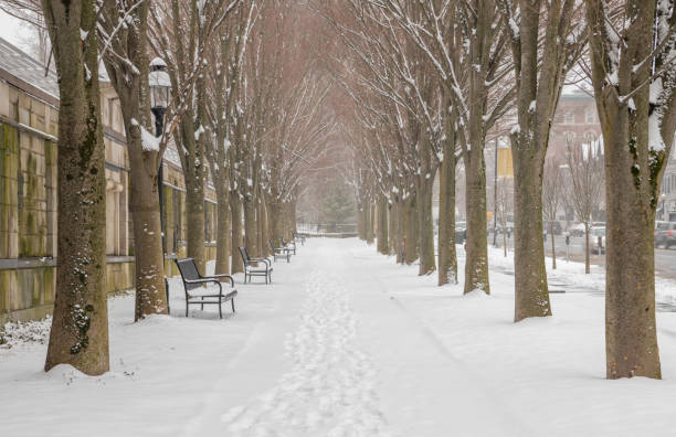 Winter scenery in Princeton stock photo