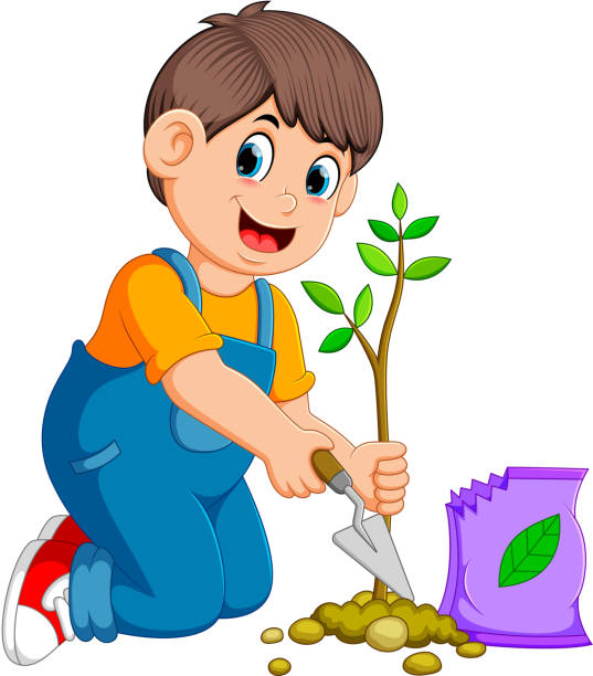 A boy planting a green young plant with fertilizer illustration of A boy planting a green young plant with fertilizer farmer son stock illustrations