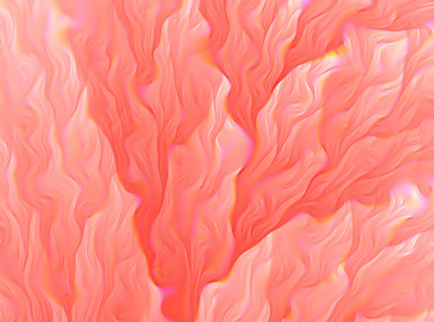 coral living fractal abstract background prism glitch effect color of the year 2019 fractal floral pattern - coral pink abstract paint imagens e fotografias de stock