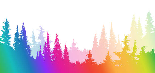 National Forest Pines Rainbow Colourful silhouette of a natural landscape with spruce and pine trees silhouette evergreen tree back lit pink stock illustrations