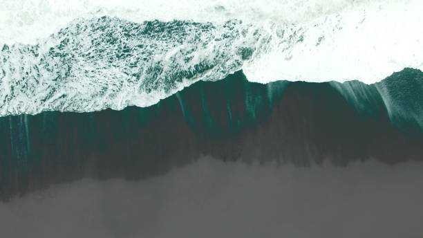 istock Beach, waves and lots of foam 1132874181